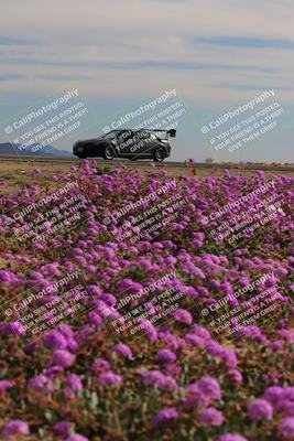 media/Jan-08-2023-SCCA SD (Sun) [[8f6a5b9391]]/Intermediate Group/Session 2 (Short Straight)/